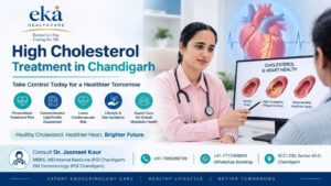 High Cholesterol Treatment in Chandigarh | EKA Healthcare